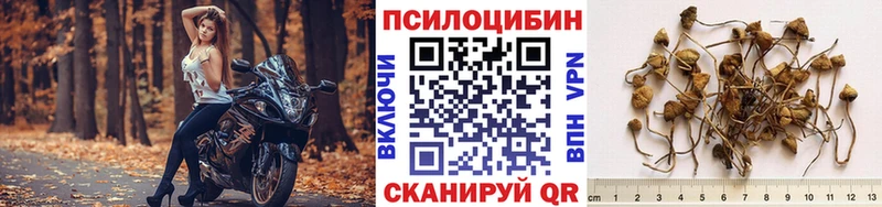 Псилоцибиновые грибы Magic Shrooms  Пласт 